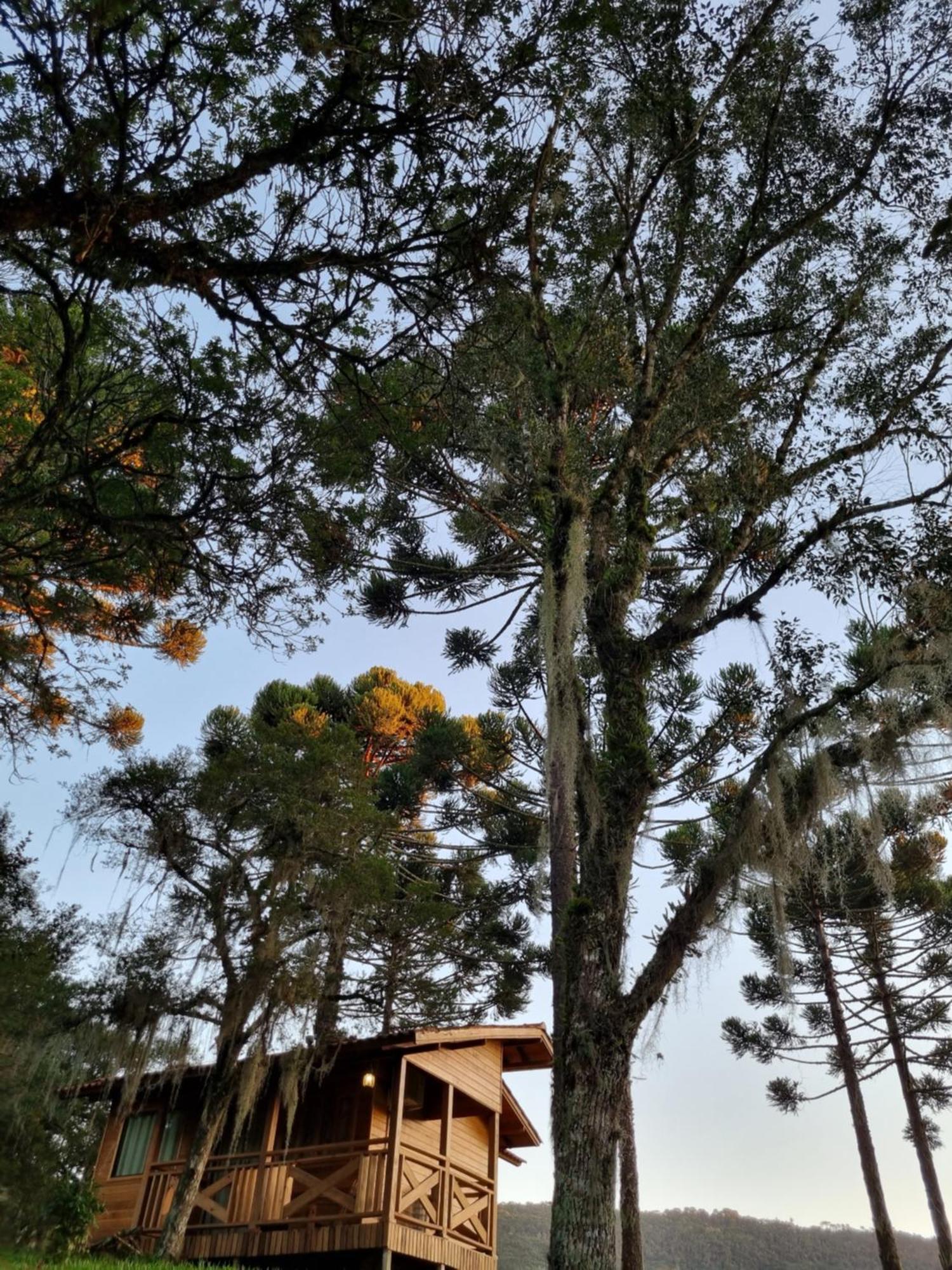 Pousada Cajuva Urubici Bagian luar foto